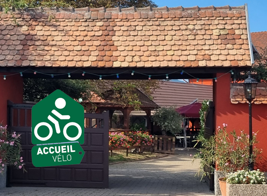 ACCUEIL-VELO-COMPLEXE-HOTELIER-CIGOLAND-ALSACE-545x400px-2.jpg